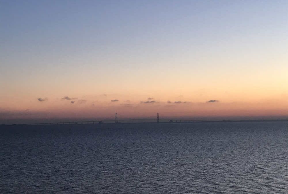 Referat af bestyrelsesmøde