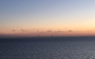 Referat af bestyrelsesmøde