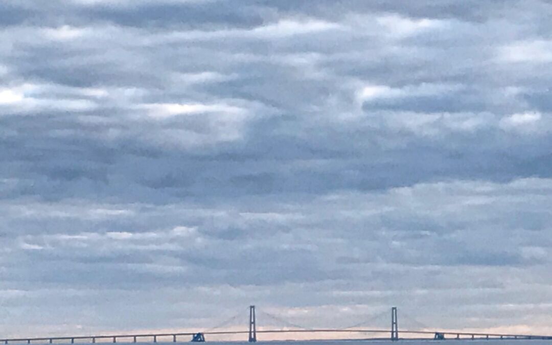 Referat af bestyrelsesmøde