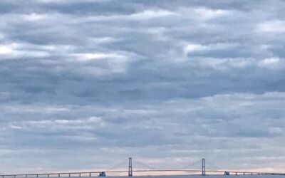 Referat af bestyrelsesmøde