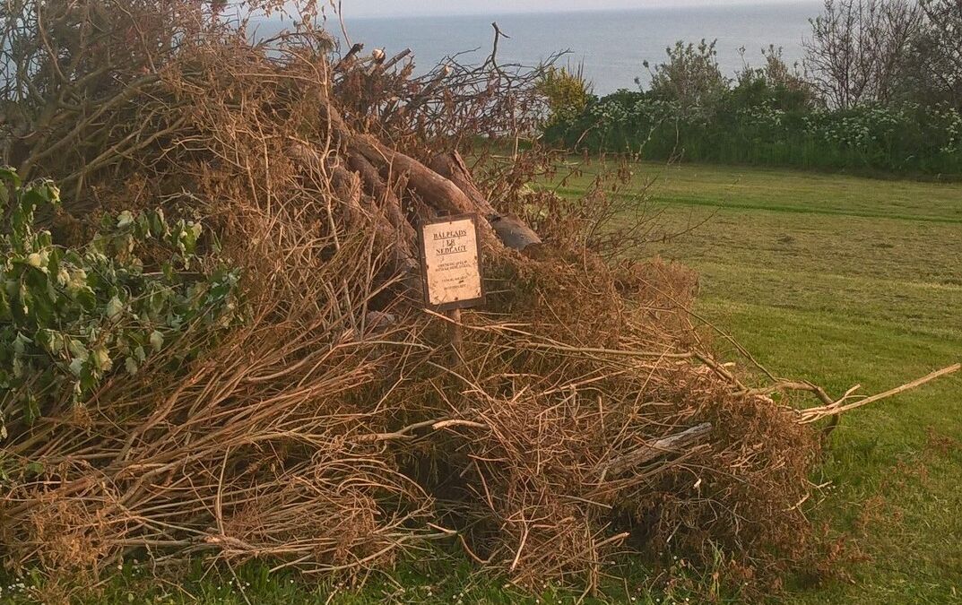 Efterårsbrevet 2018