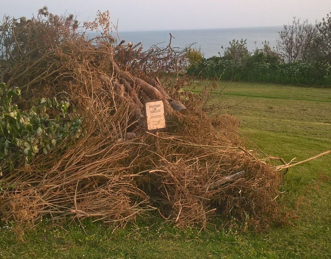 Emilsminde_bålplads_stort_26052016