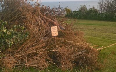 Efterårsbrevet 2018