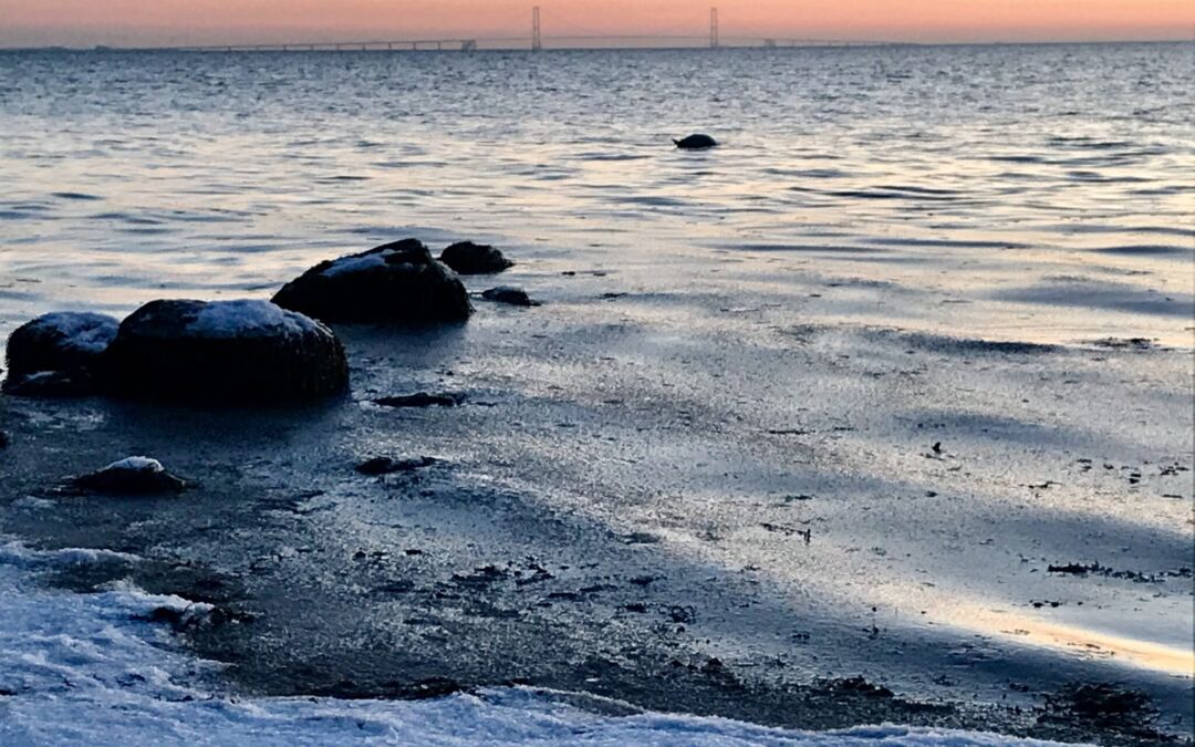 Referat fra årets første bestyrelsesmøde