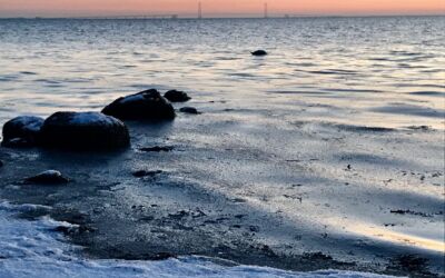 Referat fra årets første bestyrelsesmøde