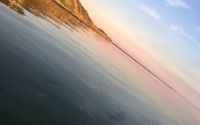 Efterårshilsen til alle