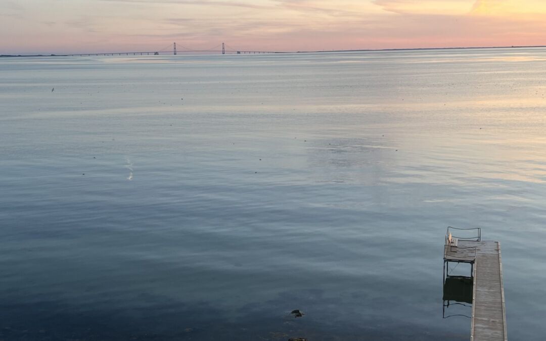 Referat fra bestyrelsesmøde