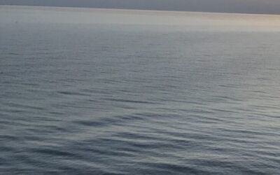 Forårshilsen til alle grundejere