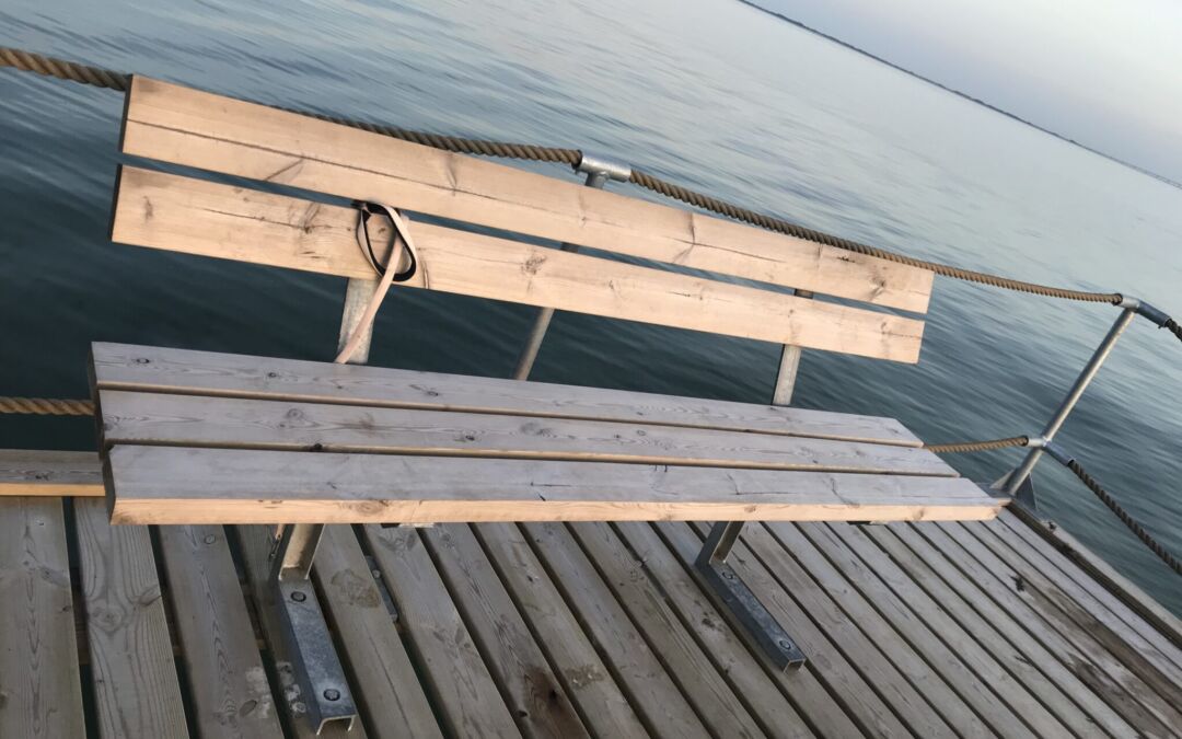 Referat af generalforsamling og bestyrelsesmøde