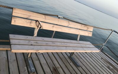 Referat af generalforsamling og bestyrelsesmøde