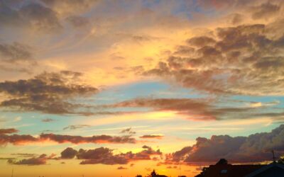 Efterårshilsen fra formanden