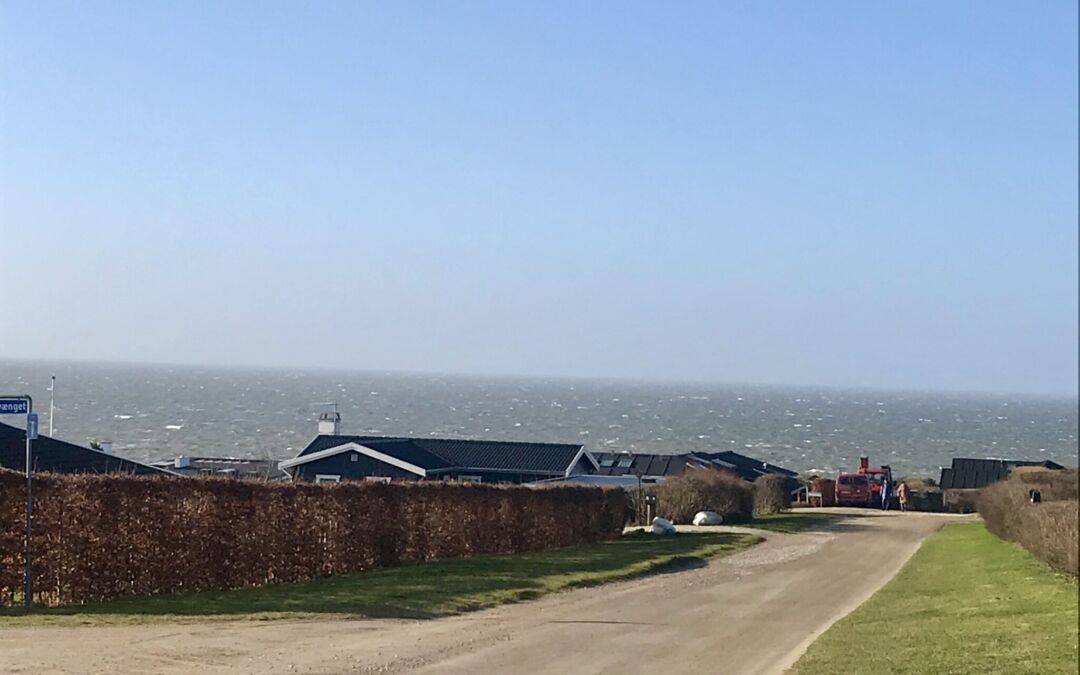 Referat af årets første bestyrelsesmøde