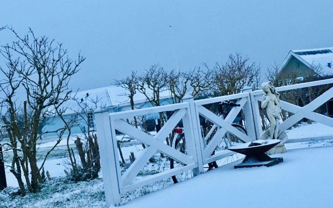 Julehilsen fra bestyrelsen