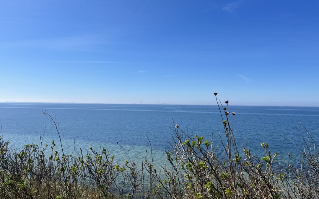 Efterårshilsen til alle grundejere