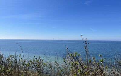 Efterårshilsen til alle grundejere