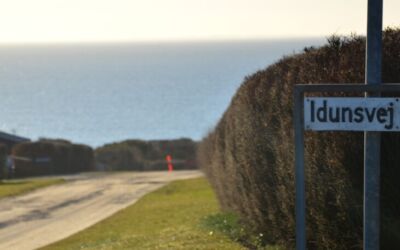 INFO vedrørende etablering af FIBERBREDBÅNDSNET