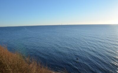 Referat af bestyrelsesmøde