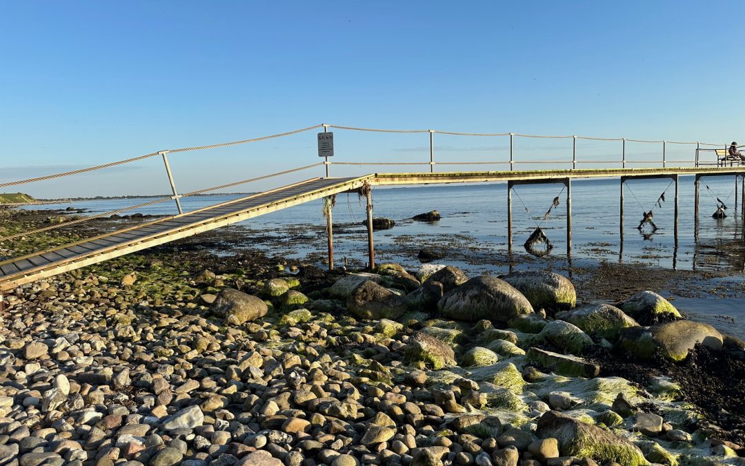 Generalforsamling 2024