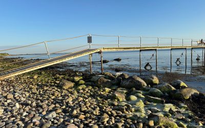 Generalforsamling 2024