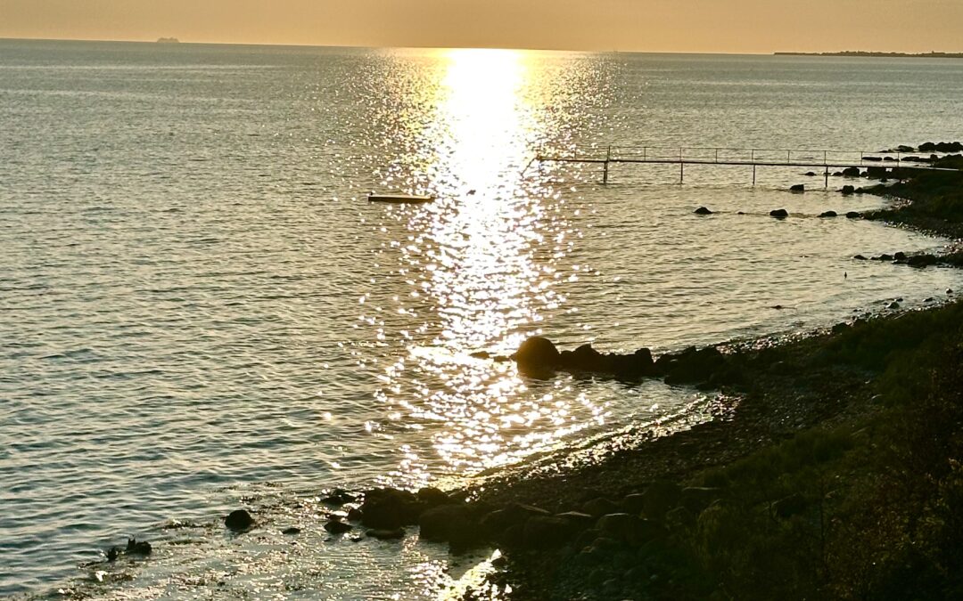 Referat fra generalforsamling 2025